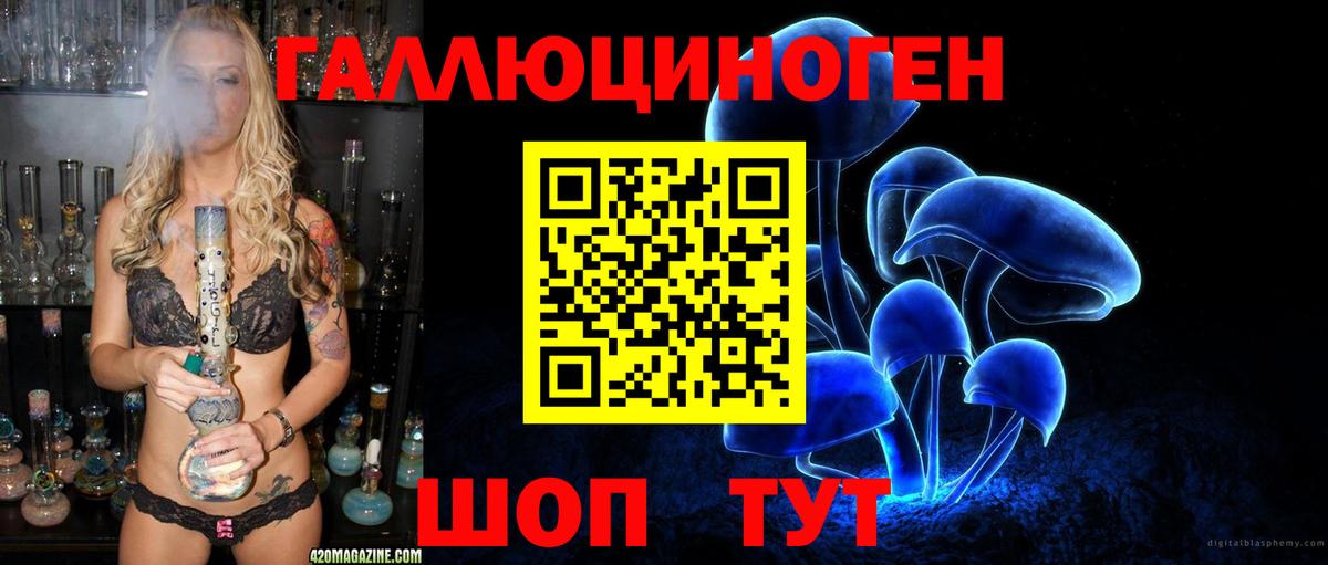 где купить наркоту  Вход с VPN  Сунжа  Псилоцибиновые грибы Psilocybine cubensis  Псилоцибиновые грибы прущие грибы 